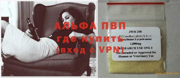прущие грибы Белокуриха