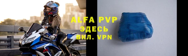 прущие грибы Белокуриха