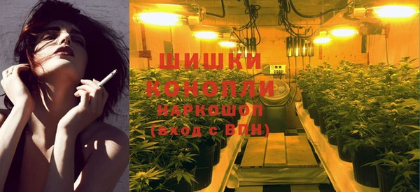 стаф Белоозёрский